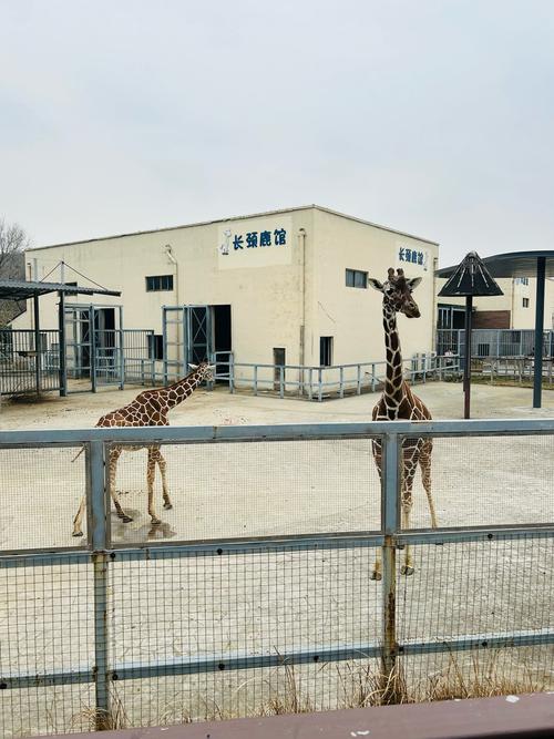 苏州动物园免费开放日怎么预约