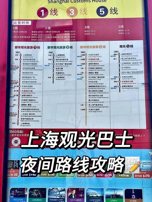 上海一共有几条旅游巴士线路