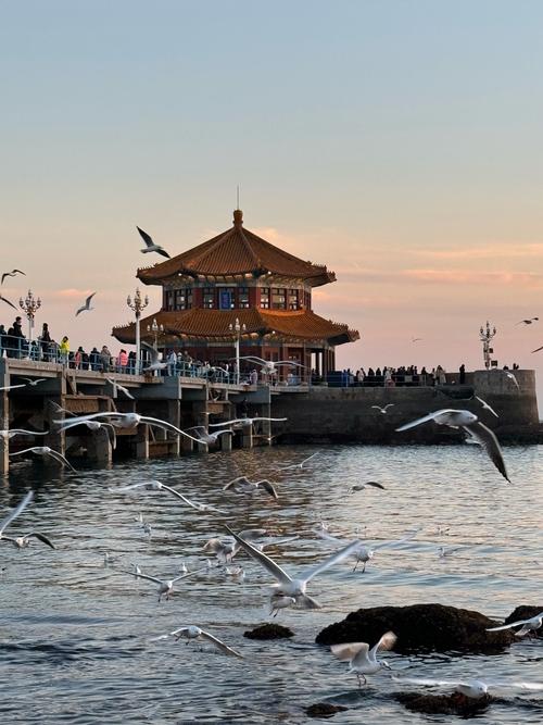 冬天去青岛有哪些好玩的?