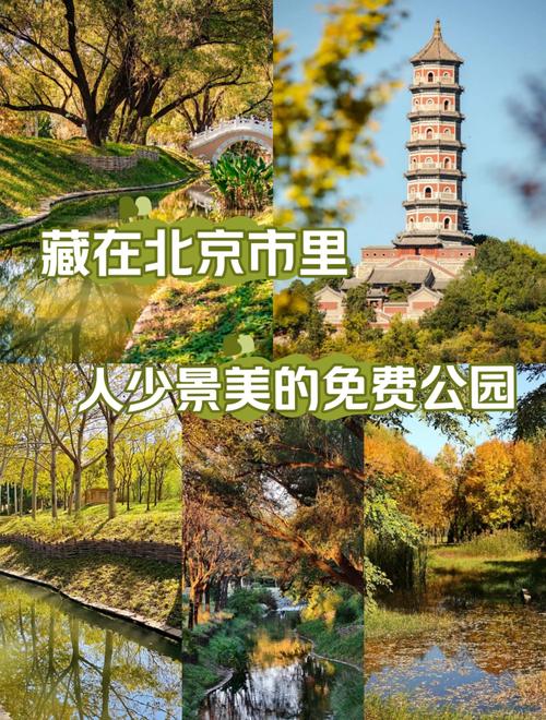 离北京最近的有海的城市有哪些