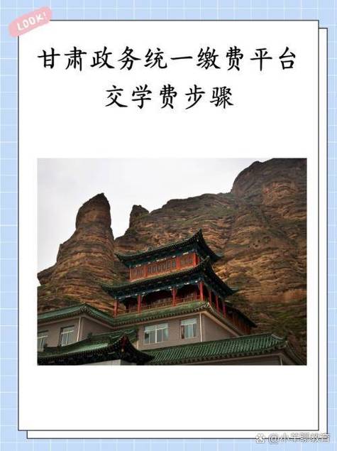 甘肃政务服务网功能