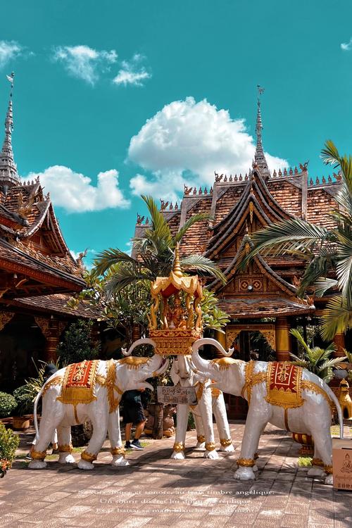 西双版纳有哪些好玩的旅游景点