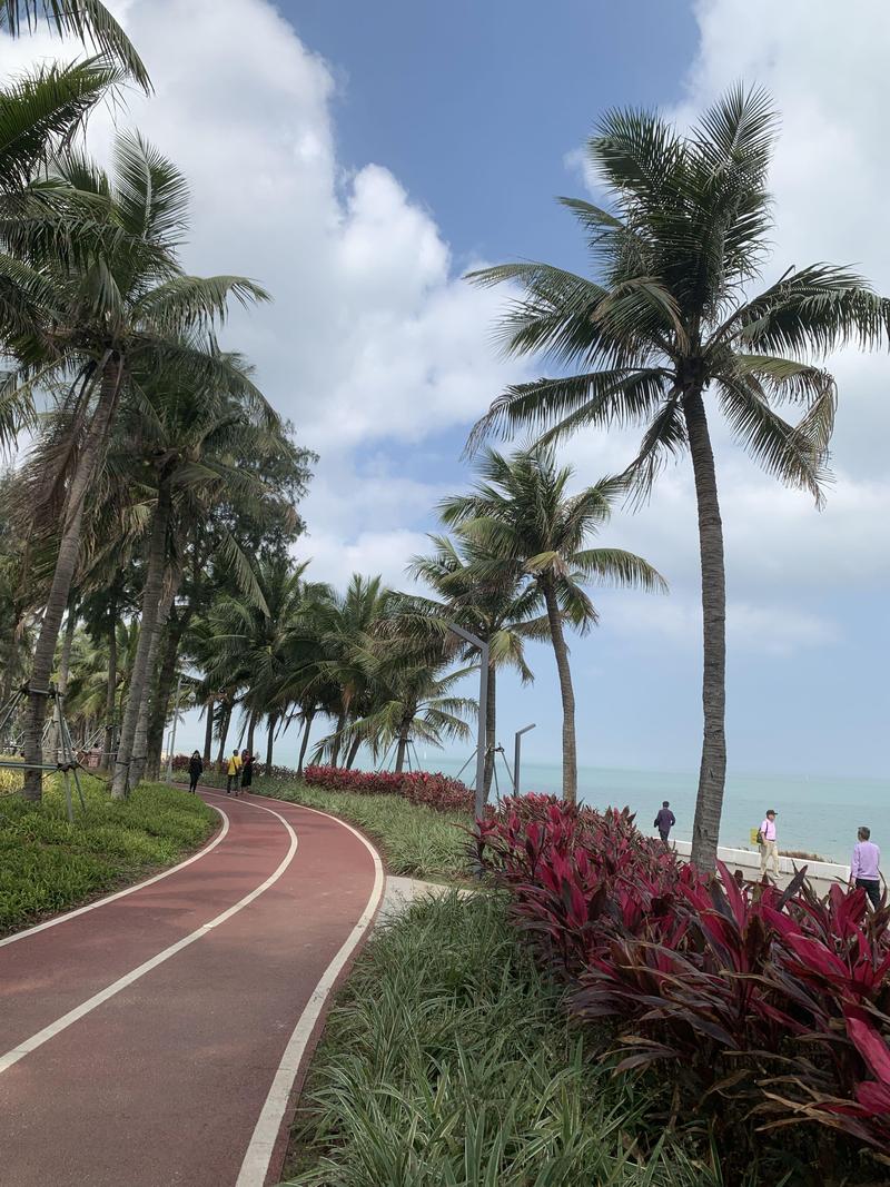 海口最美的海滩在哪里,海口最美丽的海滩是什么