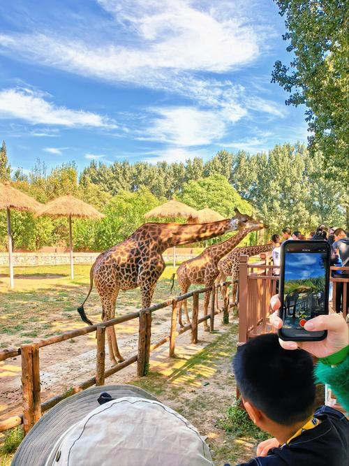 普通人可以去动物园工作吗