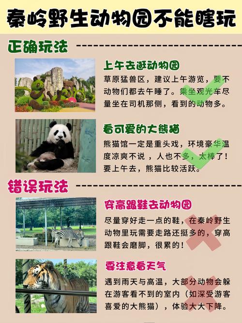 怎么能去动物园工作?