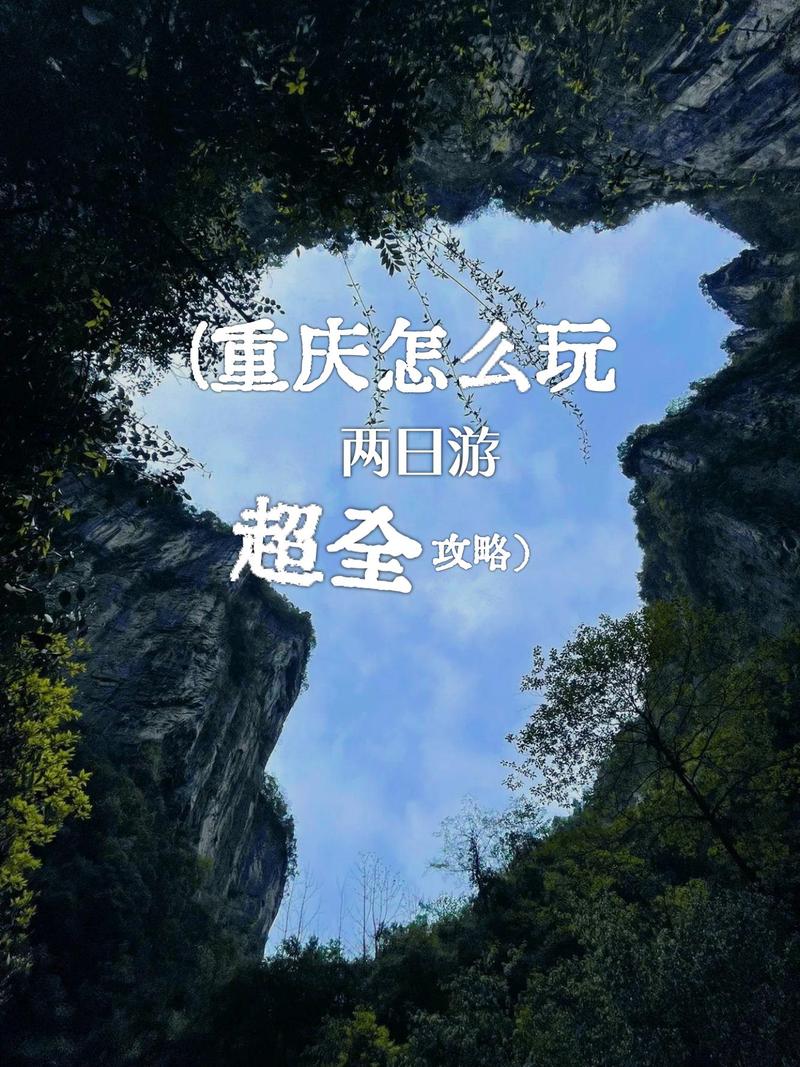 旅行社是干什么的