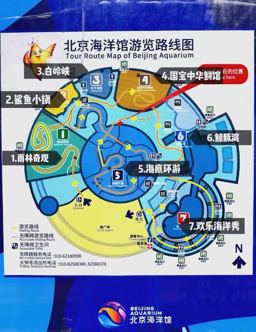 北京海洋馆游玩攻略