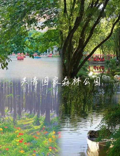 上海共青森林公园玩一天多少钱啊,门票要多少?