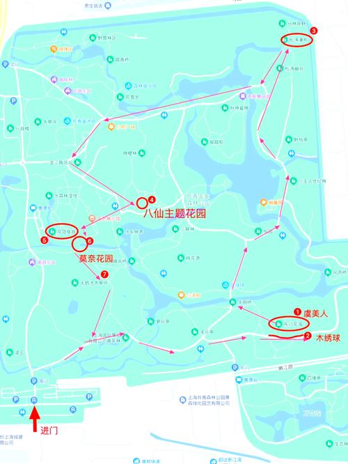 上海共青森林公园地址+交通路线