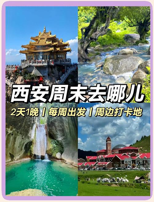 2025年青岛十梅庵梅花