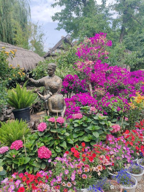 梨树梨树花期管理