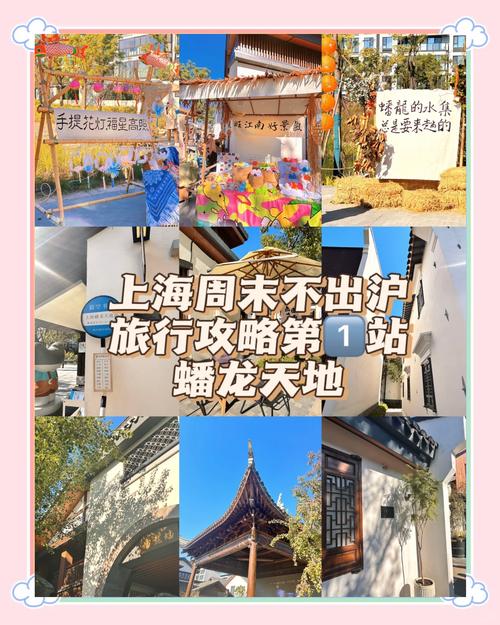 上海蟠龙古镇的游玩攻略有哪些?