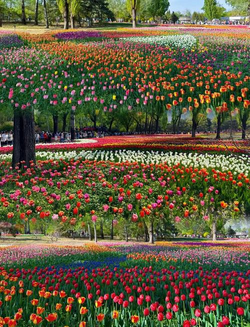 有哪些「特别适合春天去游玩」的植物园?