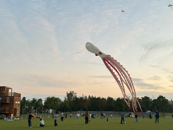 上海周边的哪些景点适合徒步游览?