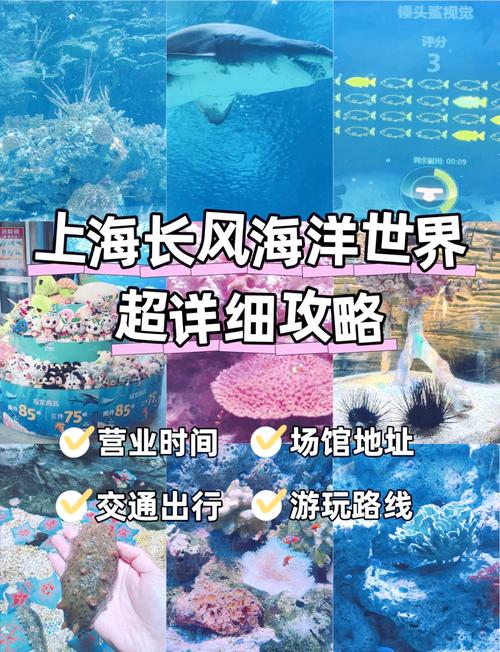 上海长风海洋公园门票费用,上海长风海洋公园门票费用查询