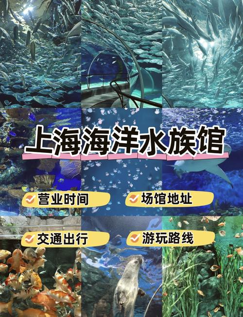 2024上海海昌海洋公园门票多少钱一张