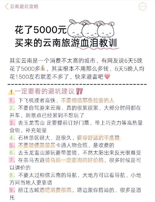 去旅游在哪里报团