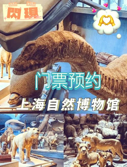 上海博物馆门票多少钱一张