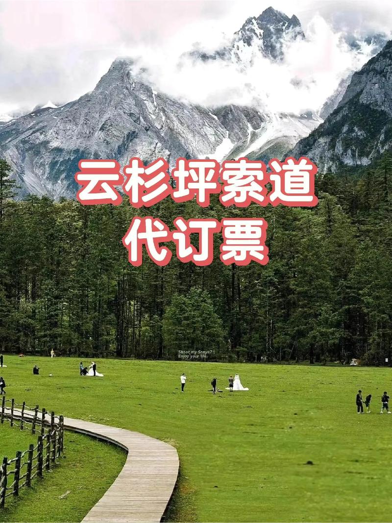 云杉坪门票优惠政策最新2024