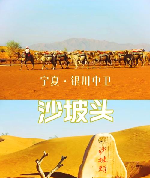 宁夏沙坡头旅游景区有哪些好玩的