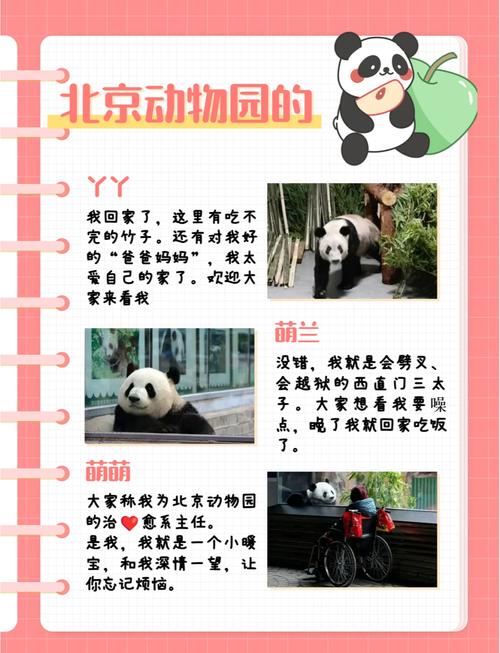 北京市动物园门票多少钱一张,北京动物园门票是多少钱