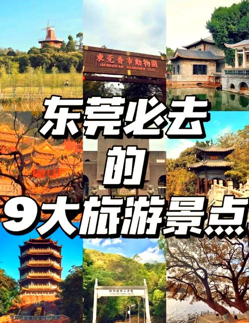 东莞一日游去哪里比较好,推荐必去景点