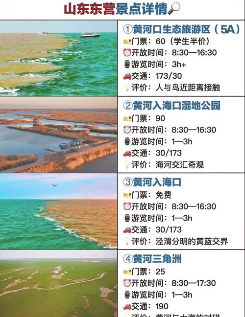 东营春季旅游攻略(东营旅游攻略一日游)