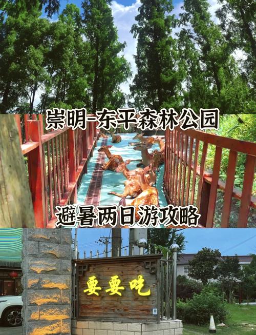 几月去东平国家森林公园玩最合适