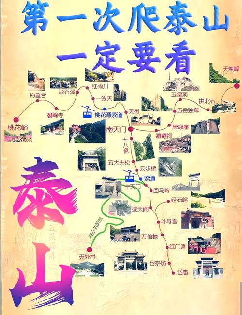 爬泰山大概需要多少钱