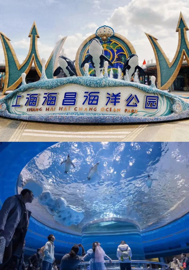 上海海昌海洋公园玩住哪里比较好