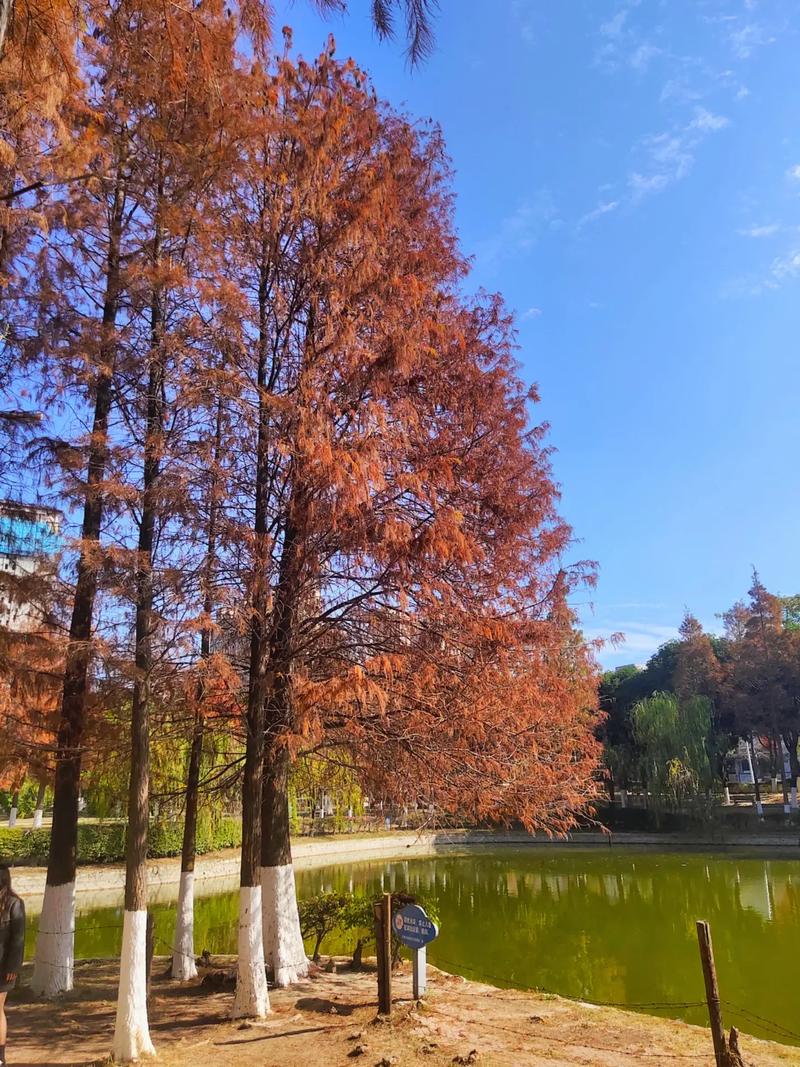 石狮气候适合过冬吗