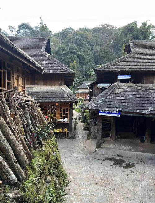 云南有哪些寨子