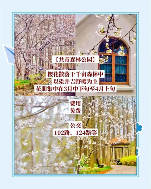 上海植物园门票多少钱一张,上海植物园门票多少钱一张啊