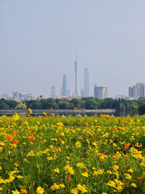 广州不花钱又好玩的地方