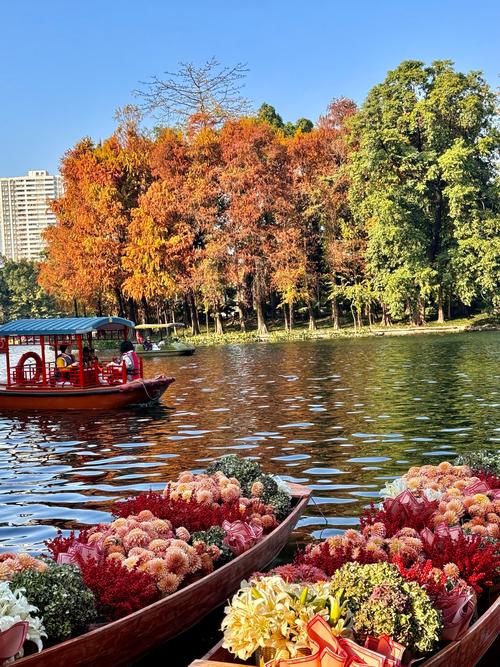 广州哪个公园免费又好玩