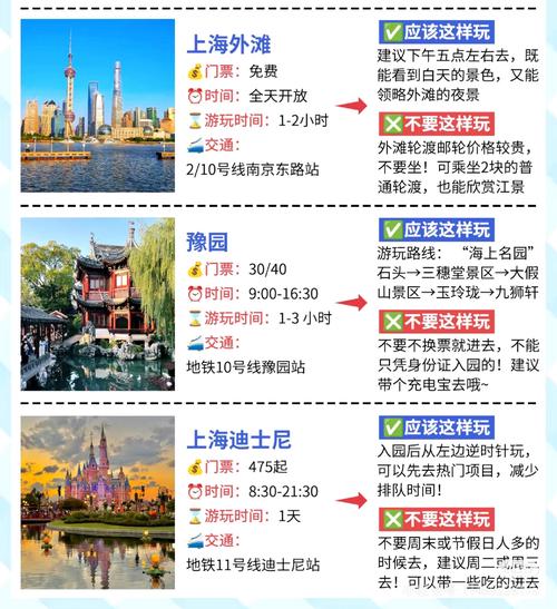 怎么查看旅游团(怎么查找旅游团)