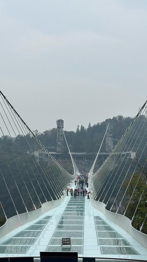张家界有几个玻璃桥和栈道,张家界的玻璃桥叫什么名字