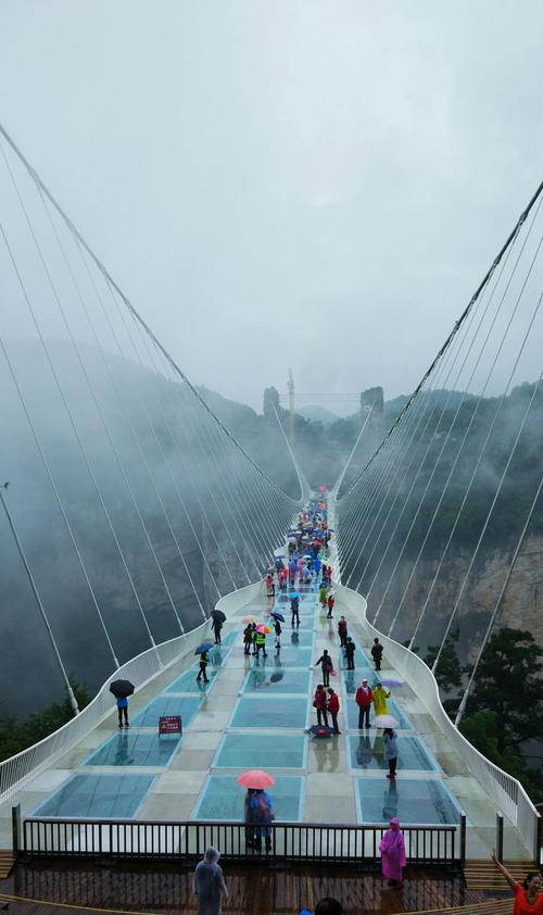 张家界玻璃桥和玻璃栈道,哪个更好玩一点,决定好了去