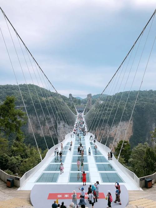 玻璃桥张家界在哪里