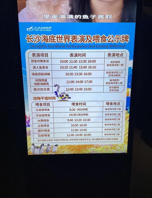 长沙海底世界水上乐园门票多少钱一张