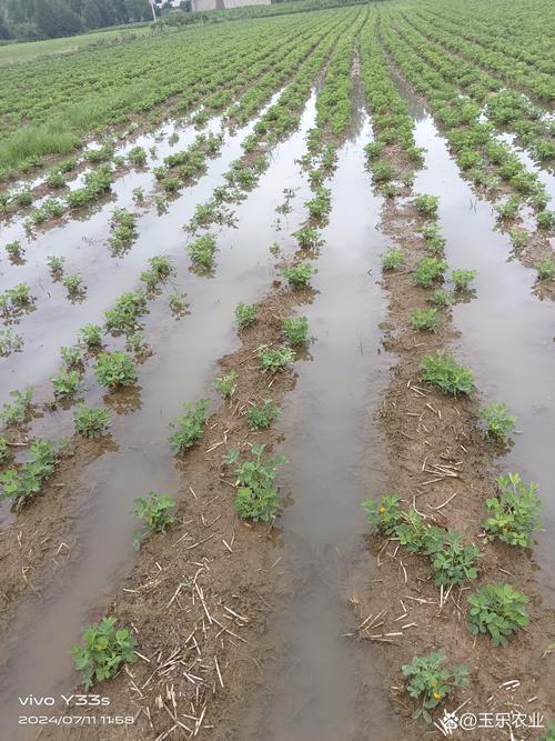 山东省大范围降雨将上线,哪些城市将会有大到暴雨?