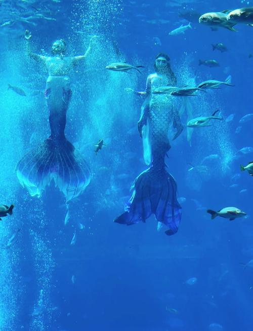 三亚旅游最省钱(去三亚旅游怎么最省钱)