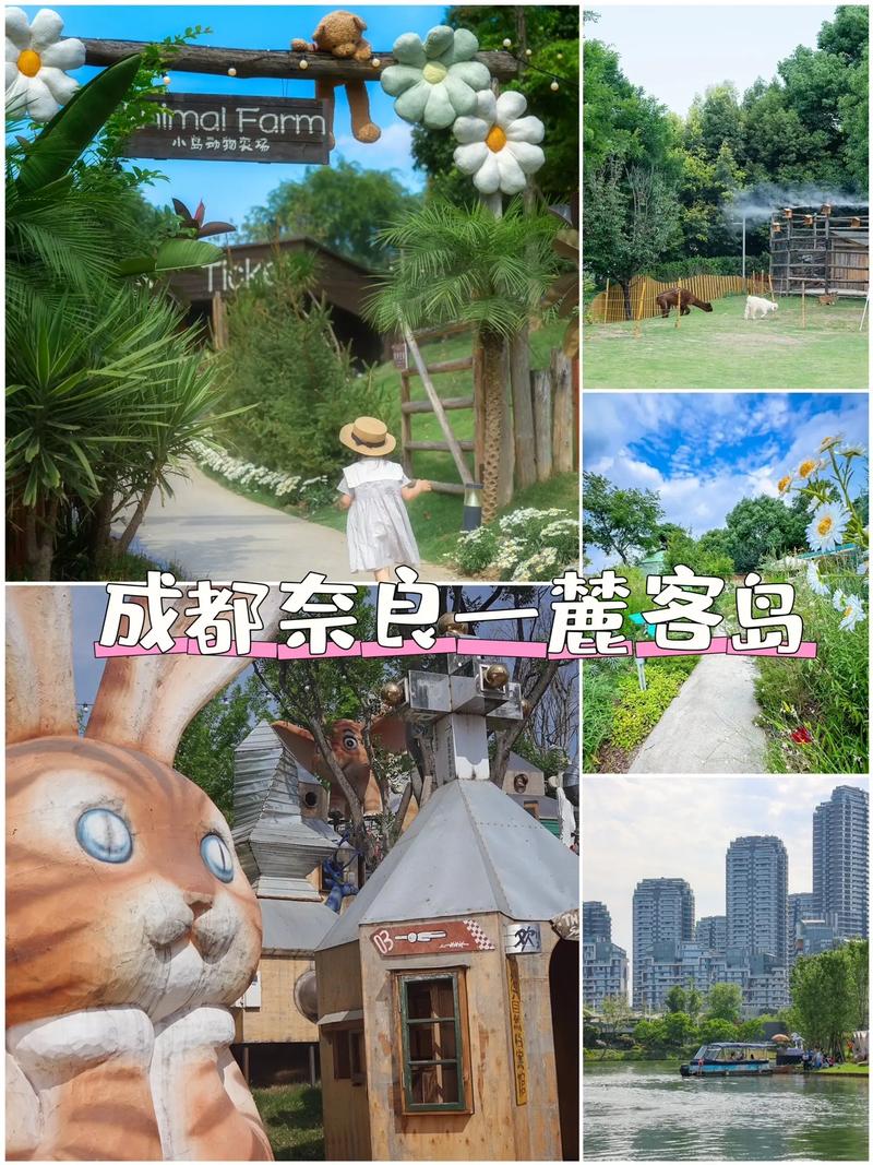 四川最适合带孩子去旅游的地方,四川带小孩旅游的地方