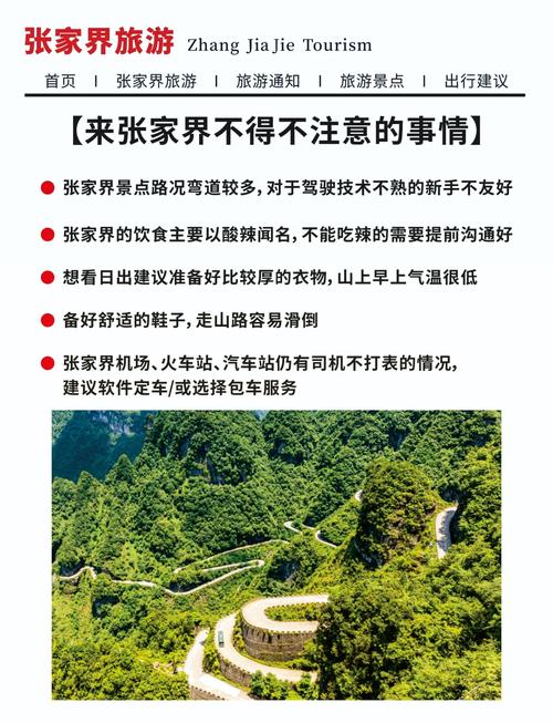 天子山本地人要门票吗_张家界国家森林公园项目票价一览