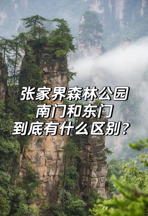 张家界国家森林公园门票费用是多少钱?