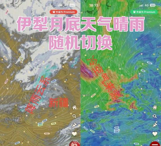 有新疆伊犁新源县的吗?