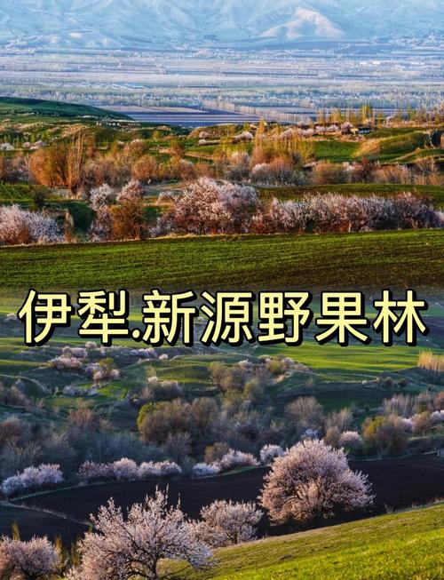 伊犁杏花沟几月去最美