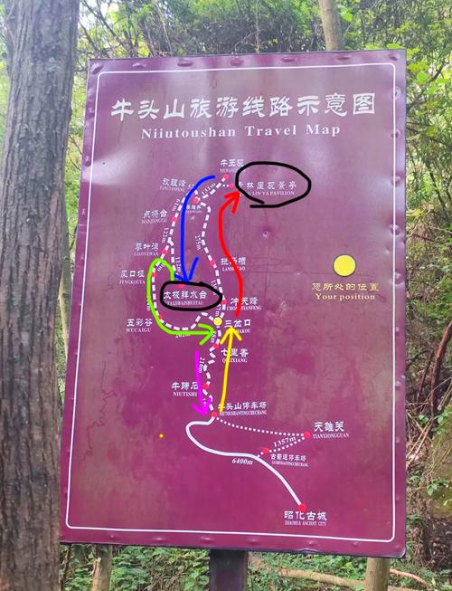 从金华市区,怎么去,武义牛头山森林公园,自驾武义牛头山旅游攻略