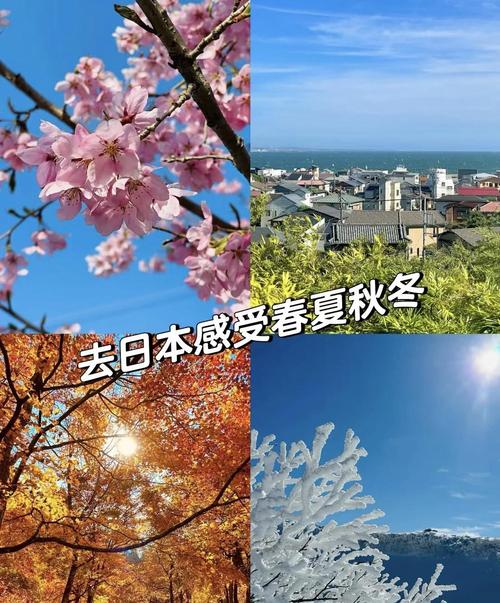 11月份日本天气穿什么衣服
