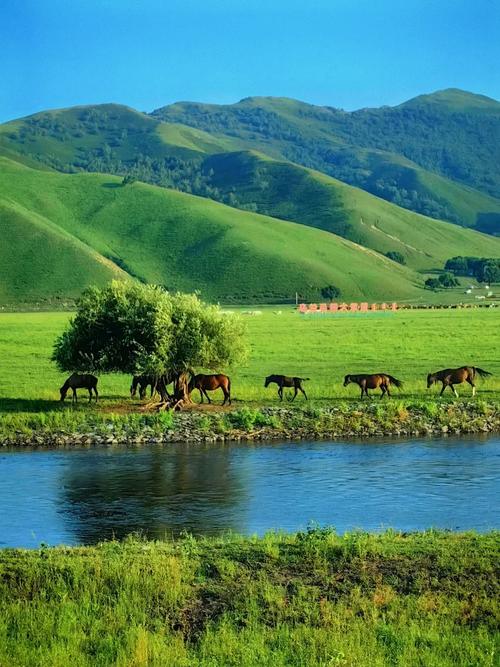 科尔沁草原旅游攻略必玩的景点